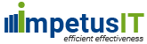 Impetus IT Logo